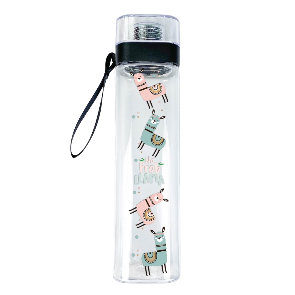 Бутылка для воды ZIZ Не проблама