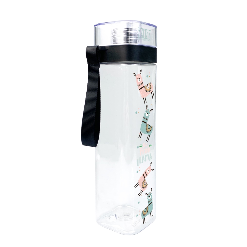 Бутылка для воды ZIZ Не проблама