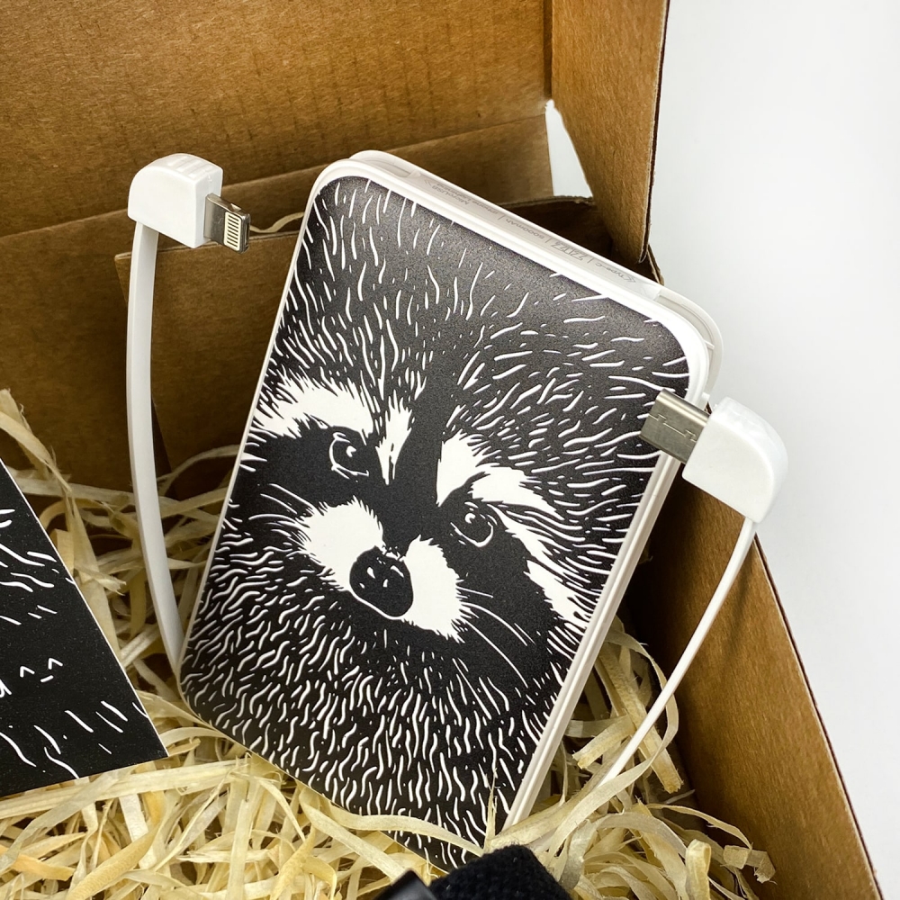 Подарочный набор ZIZ Енот (гифтбокс)