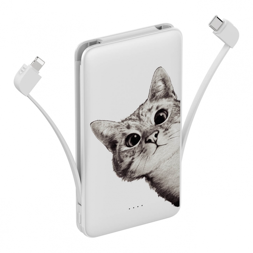 Повербанк ZIZ Эй, Кот 10000мАч