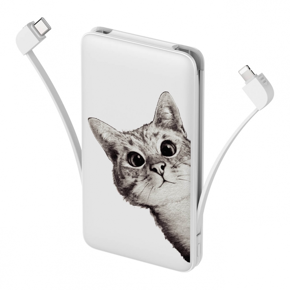 Повербанк ZIZ Эй, Кот 10000мАч