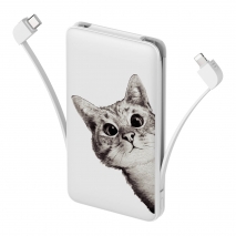 Повербанк ZIZ Эй, Кот 10000мАч