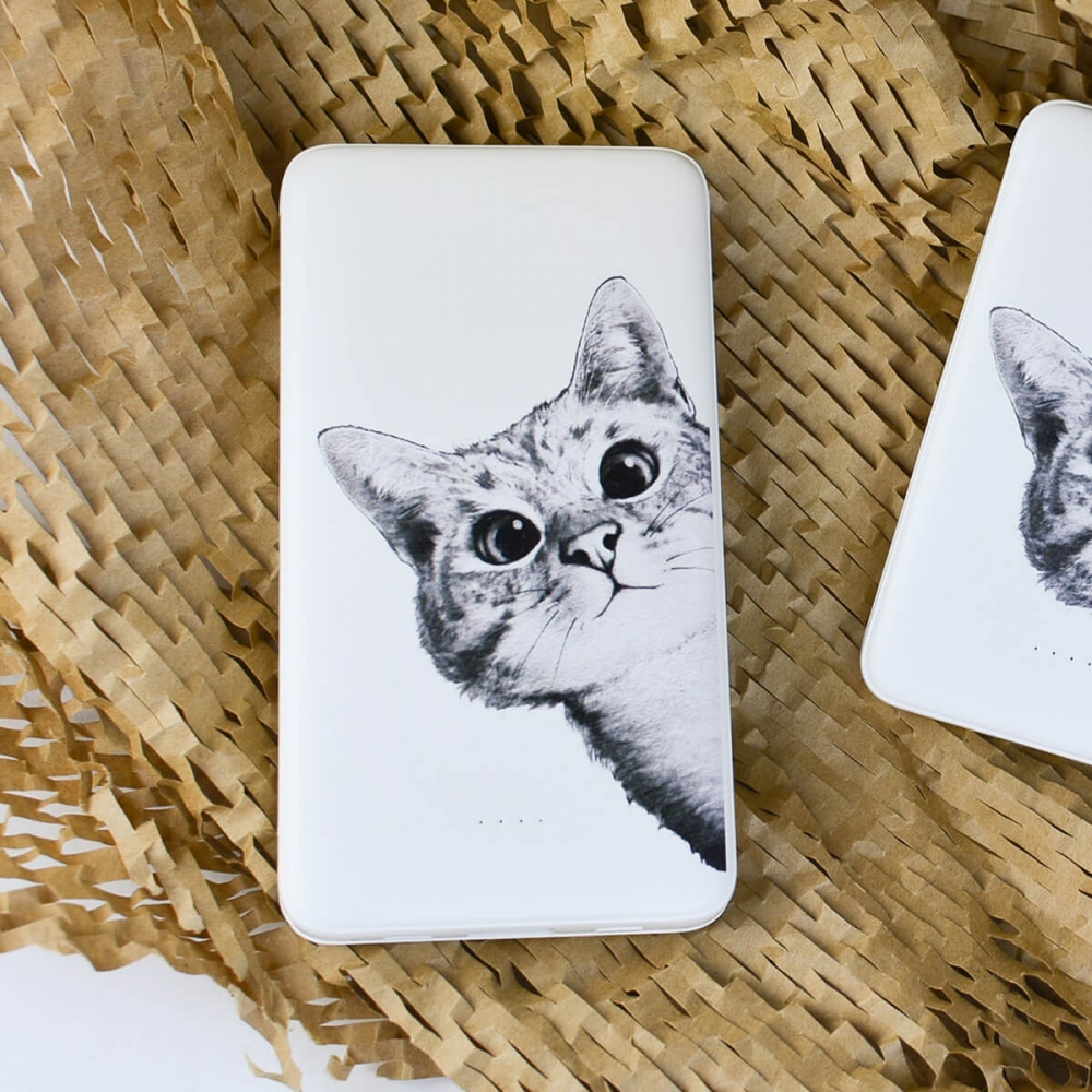 Повербанк ZIZ Ей, Кіт 10000мАг