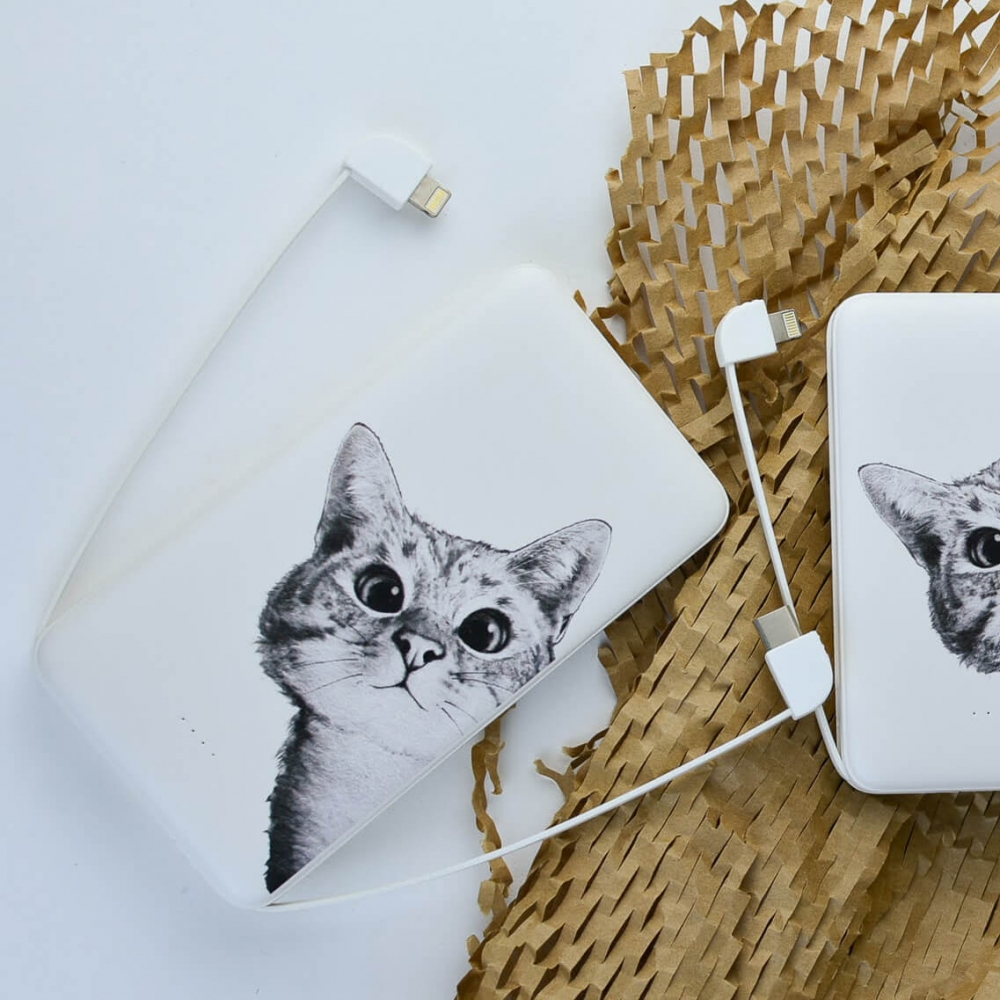 Повербанк ZIZ Ей, Кіт 10000мАг