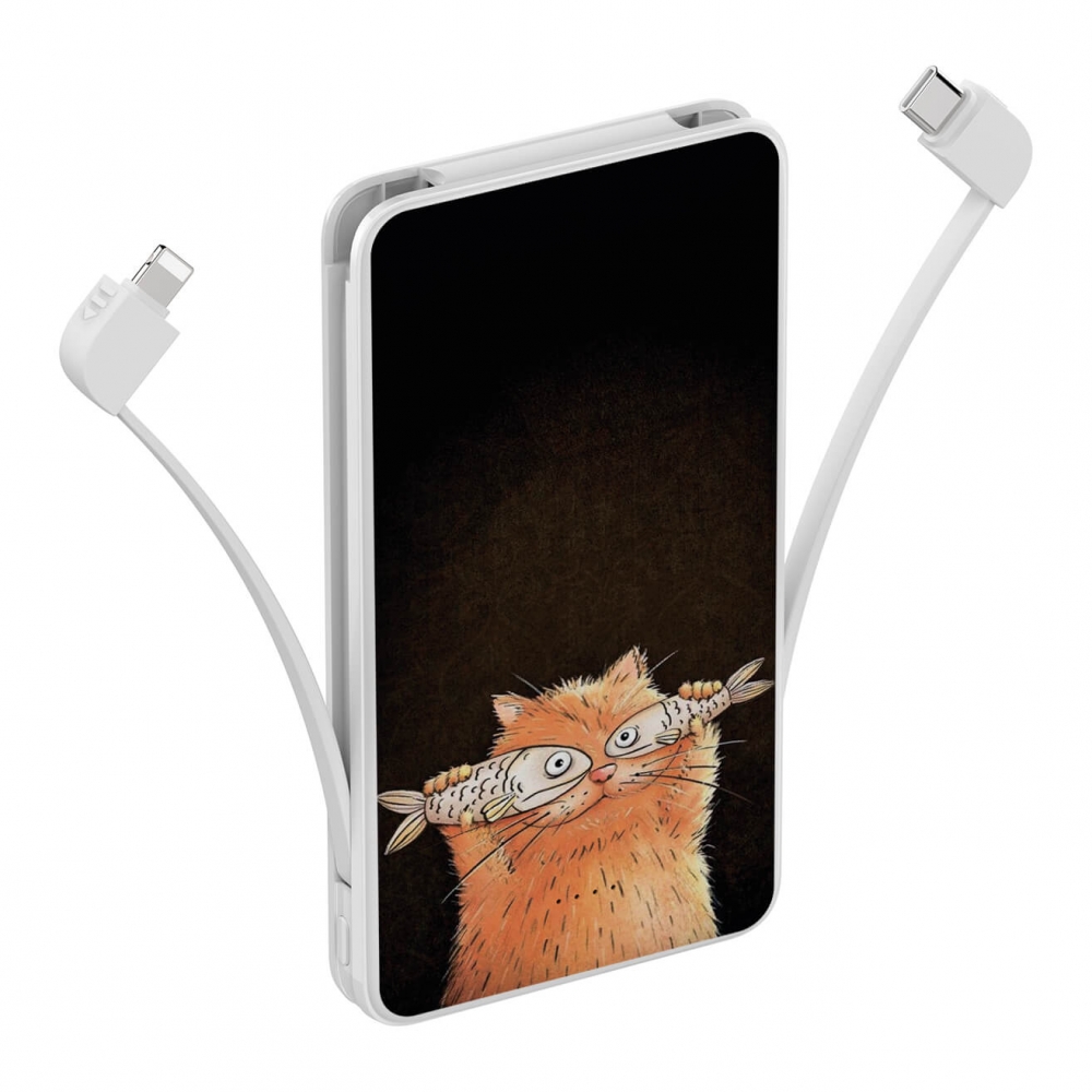 Повербанк ZIZ Котофей 10000 мАч