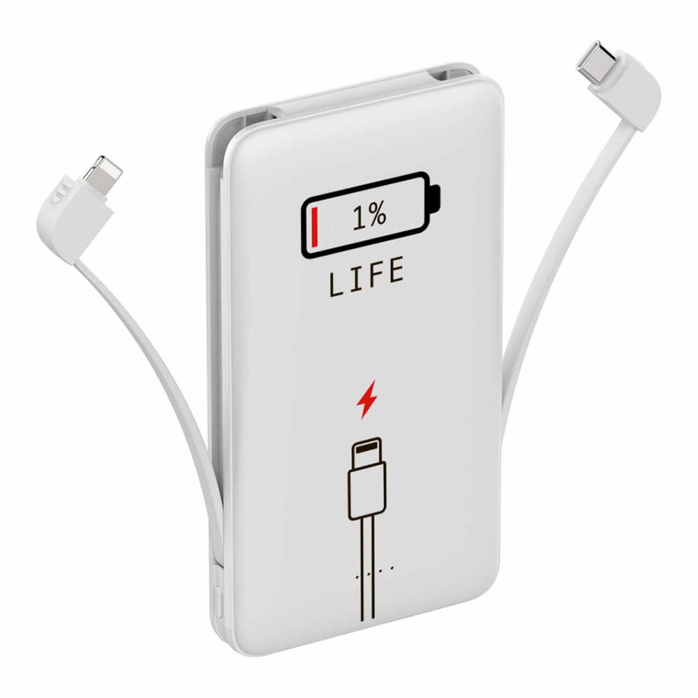 Повербанк ZIZ 1% 10000 мАг