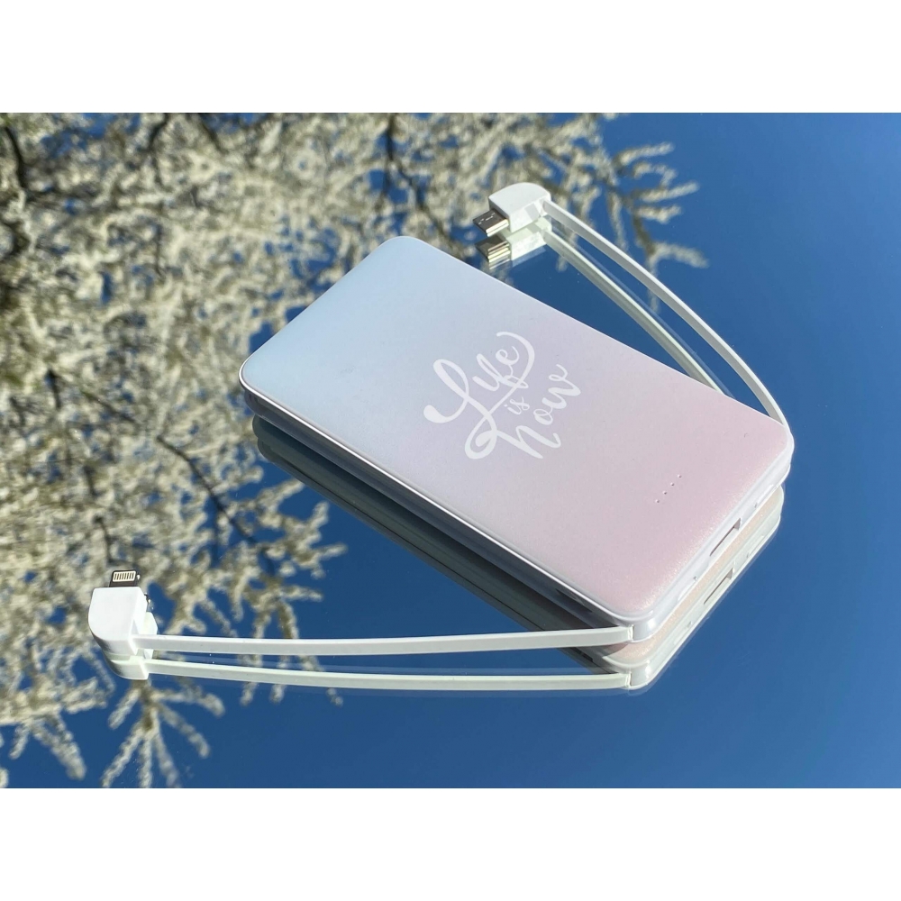 Повербанк ZIZ Безтурботність 10000 мАг