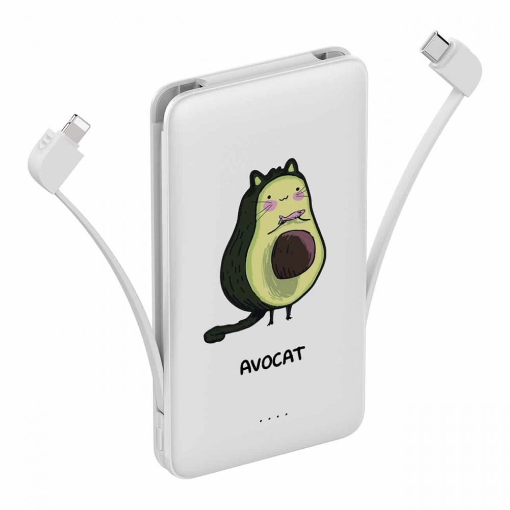 Повербанк ZIZ Авокіт 10000 мАг