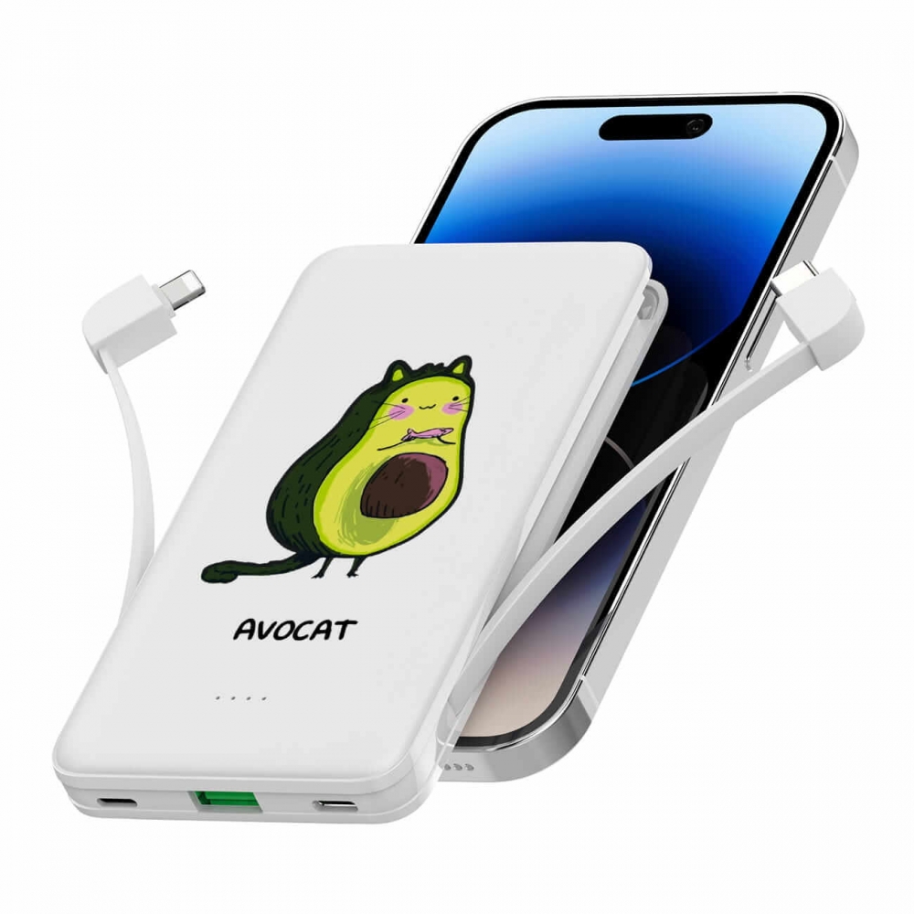 Повербанк ZIZ Авокіт 10000 мАг