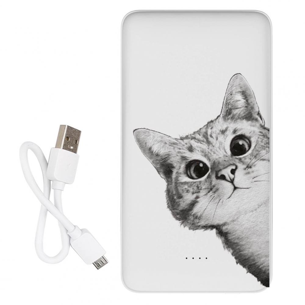 Повербанк ZIZ Эй, Кот 10000мАч