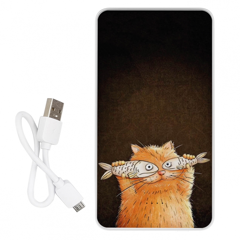 Повербанк ZIZ Котофей 10000 мАг