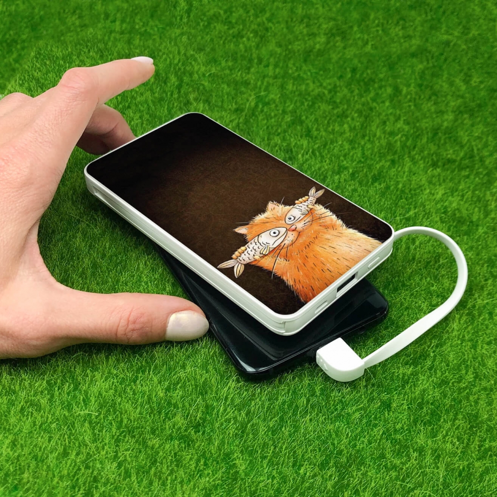 Повербанк ZIZ Котофей 10000 мАг