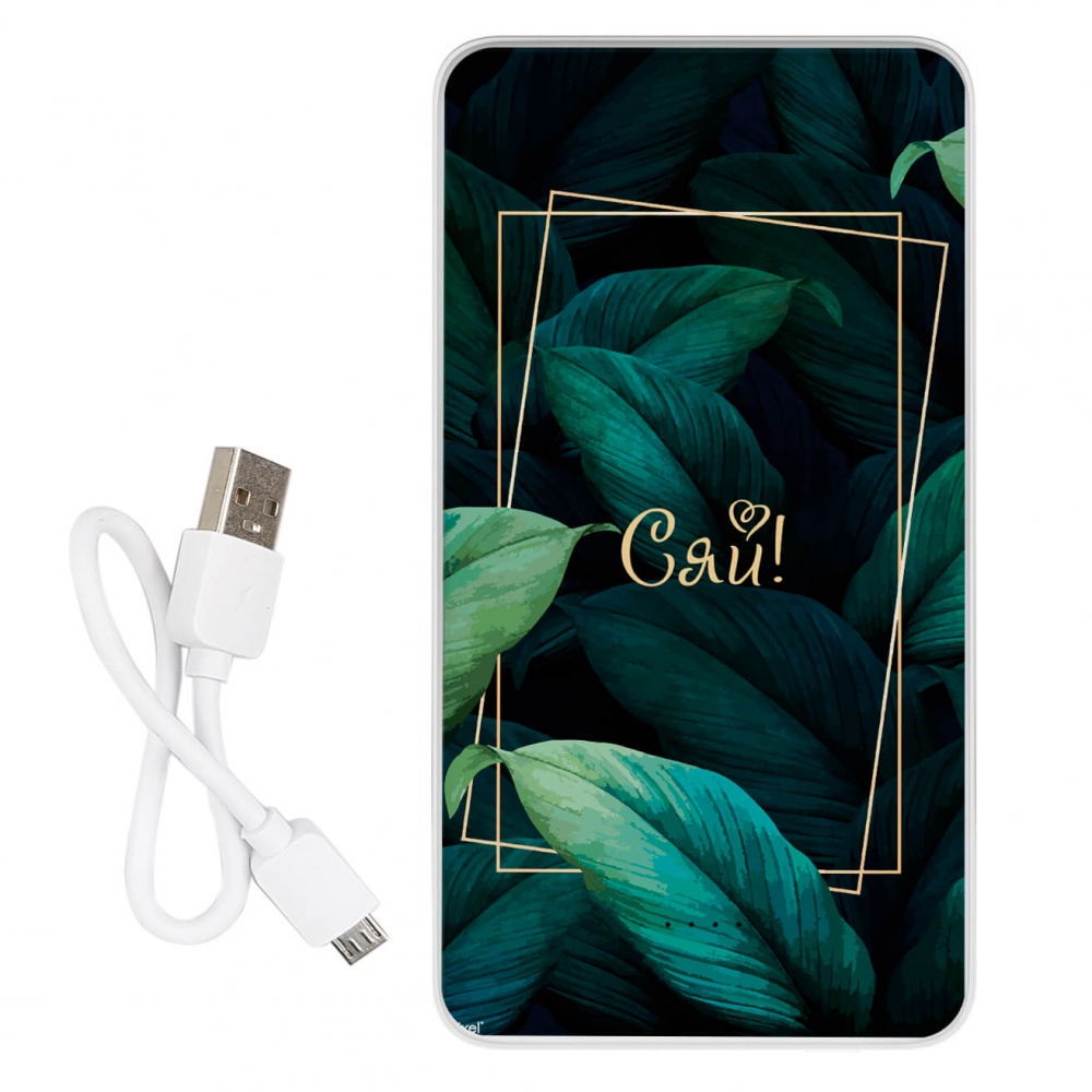 Повербанк ZIZ Сяй 10000 мАг