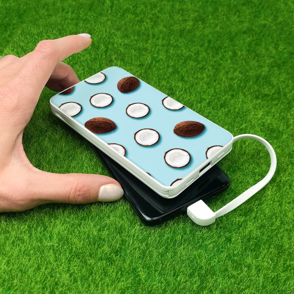 Повербанк ZIZ Кокосы 10000 мАч