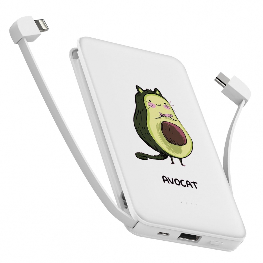 Повербанк ZIZ Авокот 10000 мАч