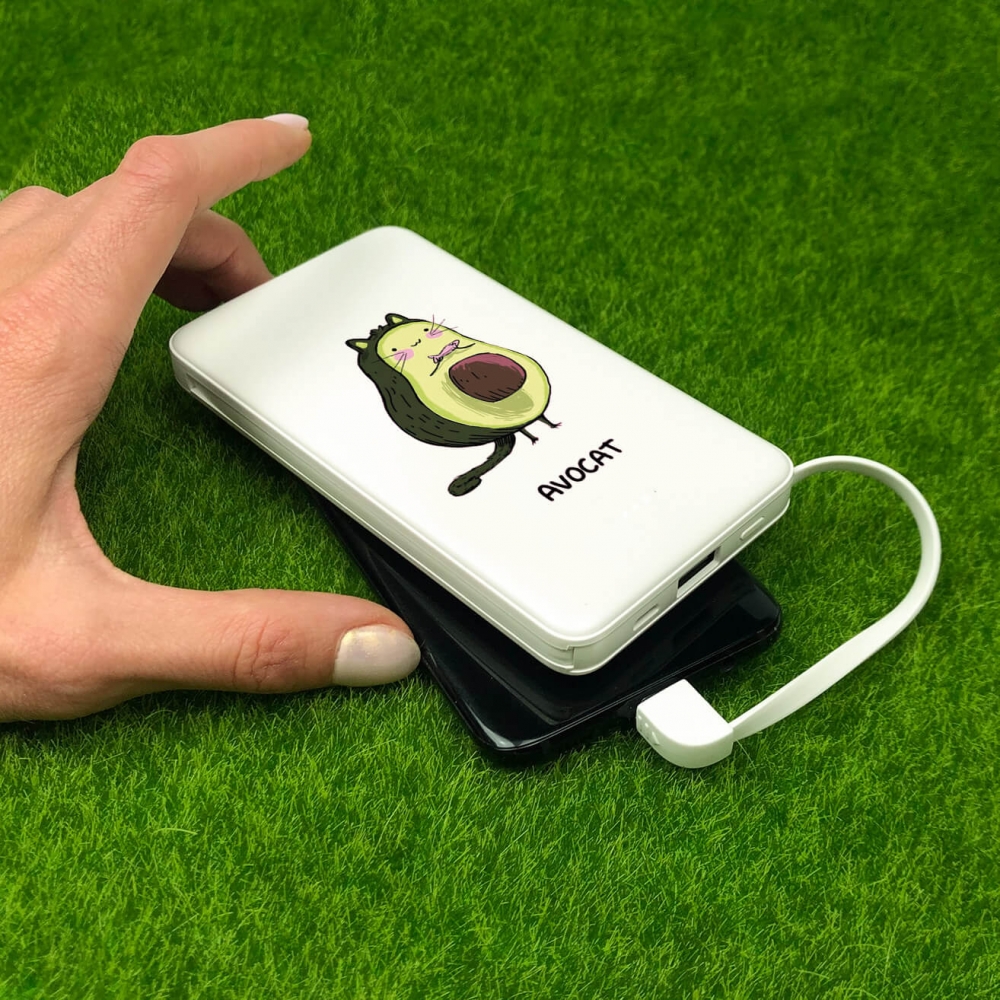 Повербанк ZIZ Авокот 10000 мАч