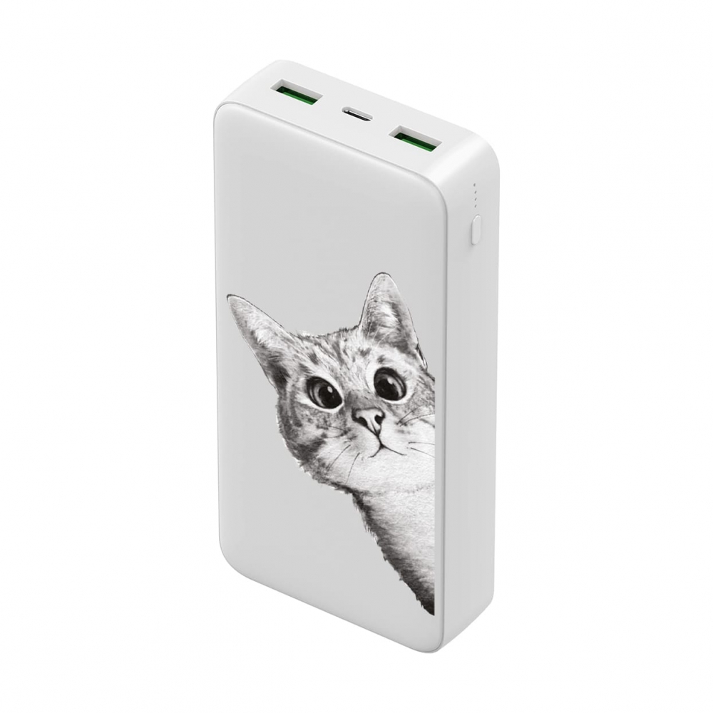 Повербанк ZIZ Эй, Кот 20000 мАч