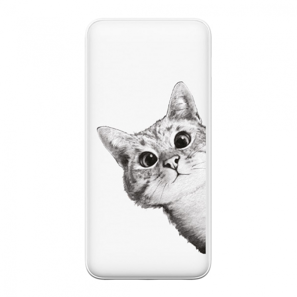 Повербанк ZIZ Эй, Кот 20000 мАч